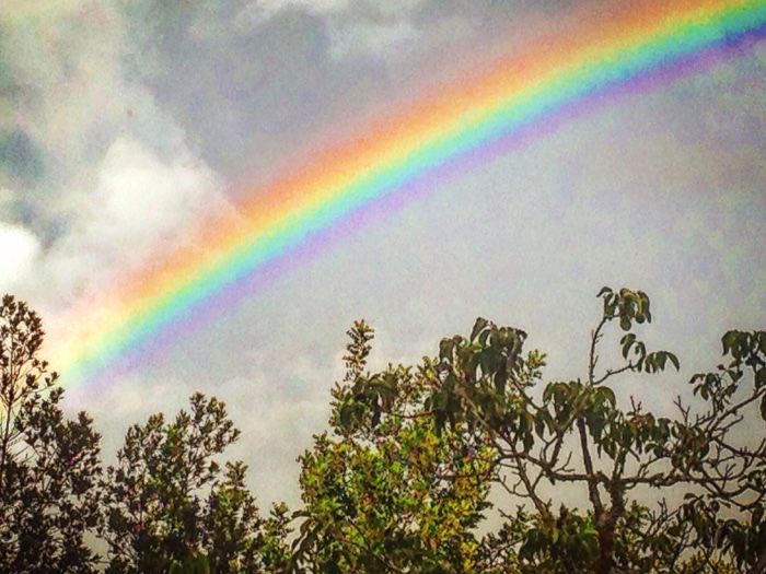 Rainbow